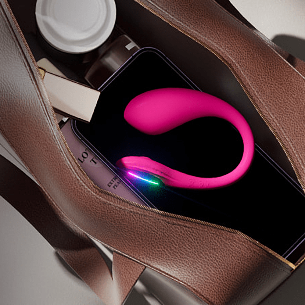 Top view photo of Lovense Lush Mini App-Controlled Egg G-Spot Vibrator in a leather purse