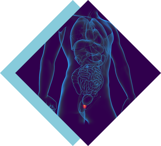 The Male G-Spot: How To Have A Prostate Orgasm