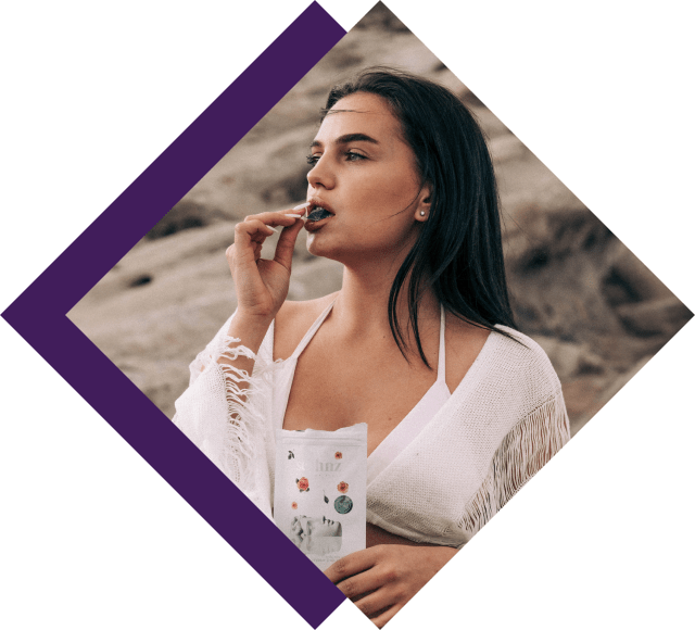 Functional Mushrooms Meet Intimacy: The Seshnz Mushroom Blend Experience