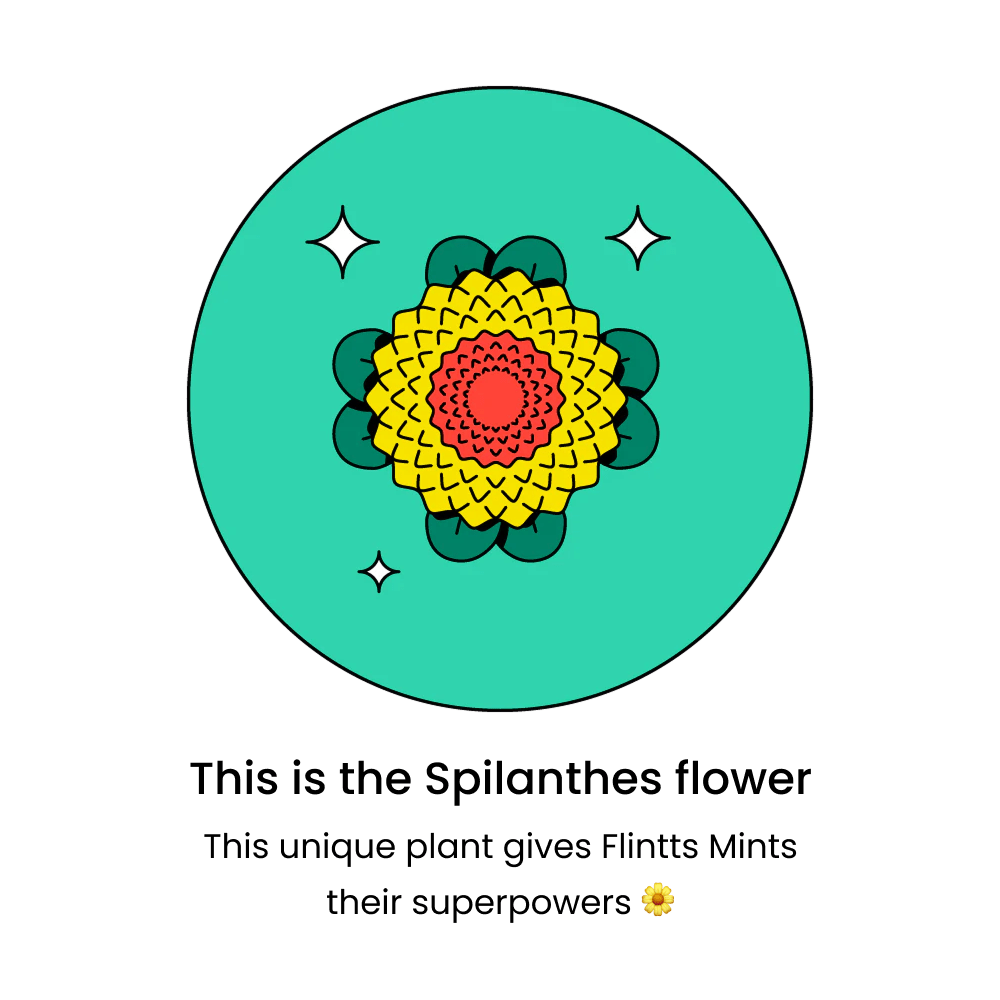 Amazing Intimate Essentials