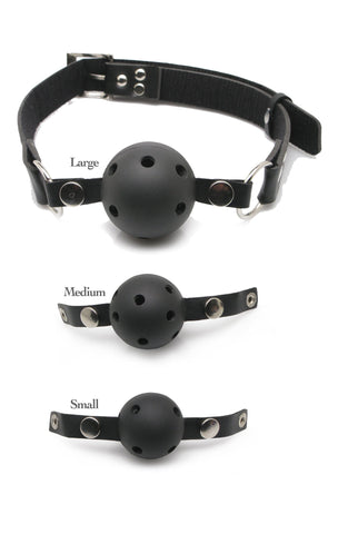 BALL GAG TRAINING SYSTEM