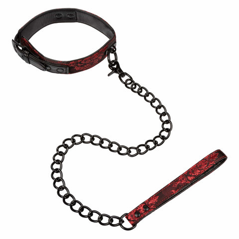 COLLAR WITH LEASH
