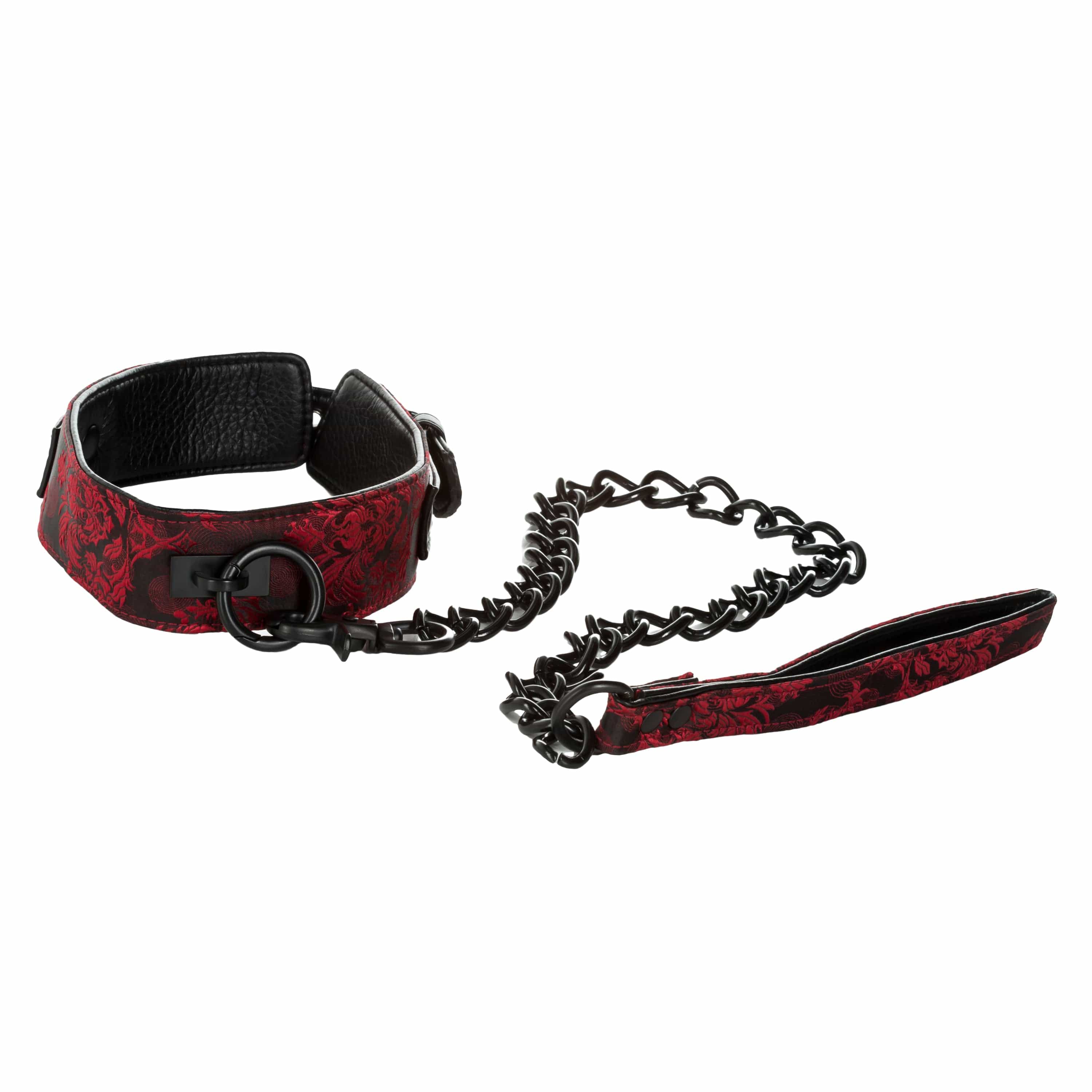 COLLAR WITH LEASH