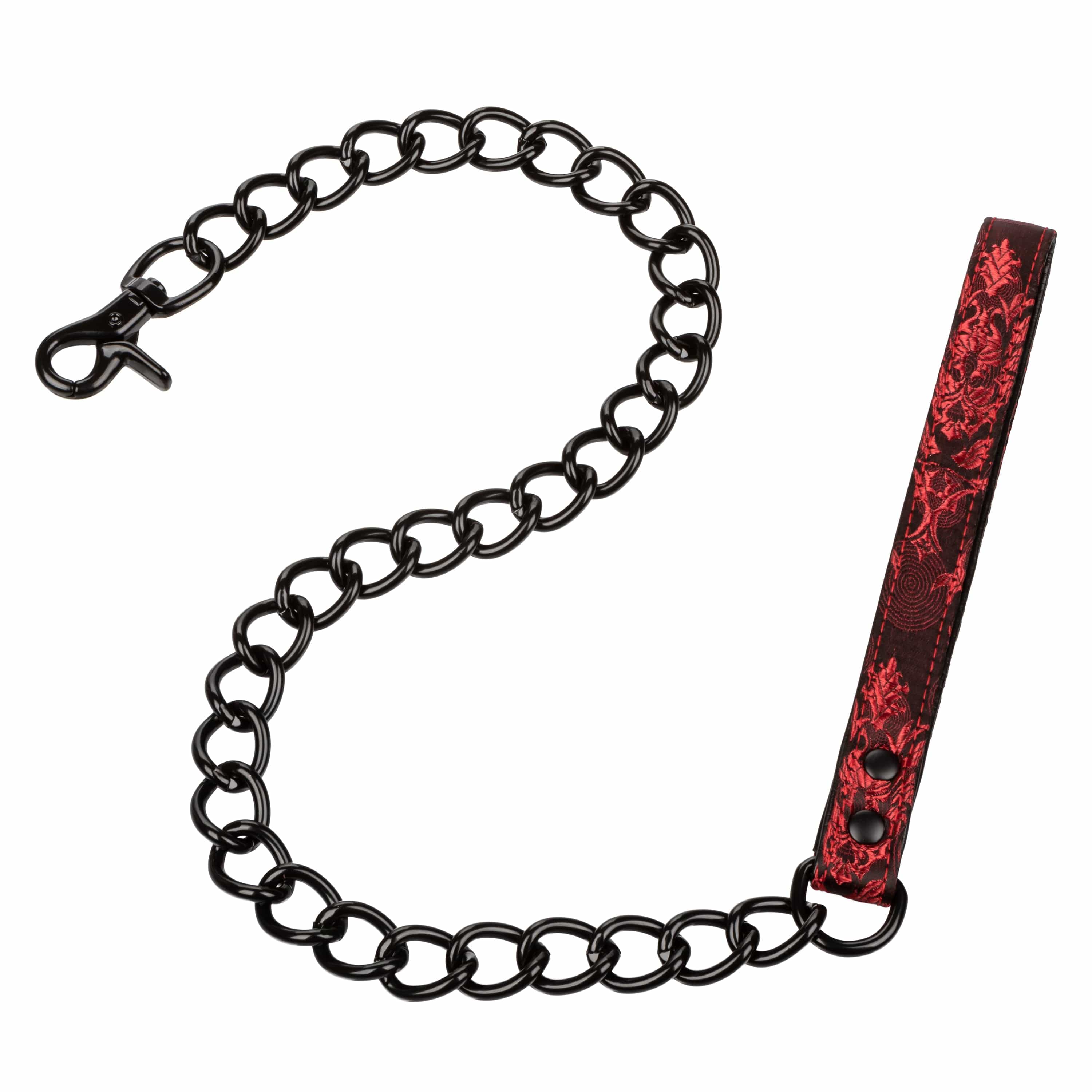 COLLAR WITH LEASH