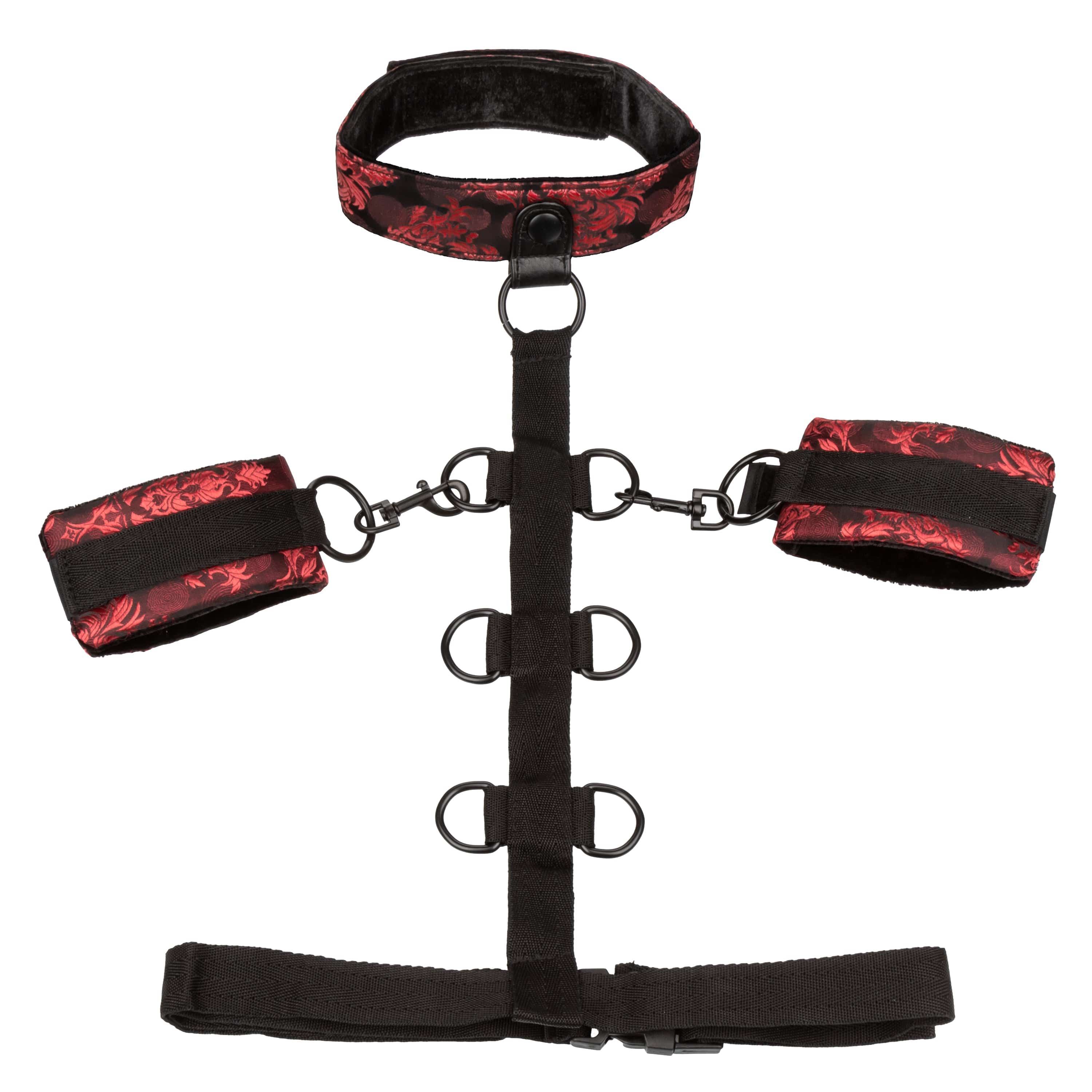 COLLAR BODY RESTRAINT