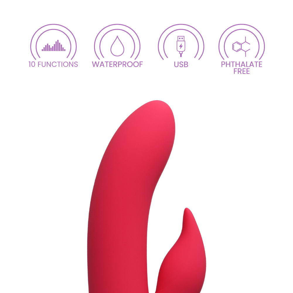 SAN FRANCISCO SWEETHEART RABBIT