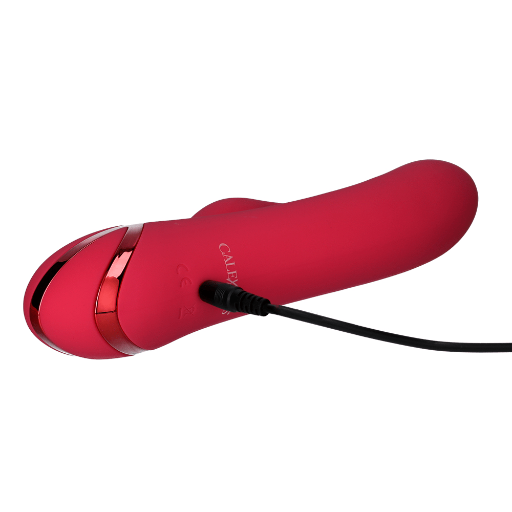 SAN FRANCISCO SWEETHEART RABBIT