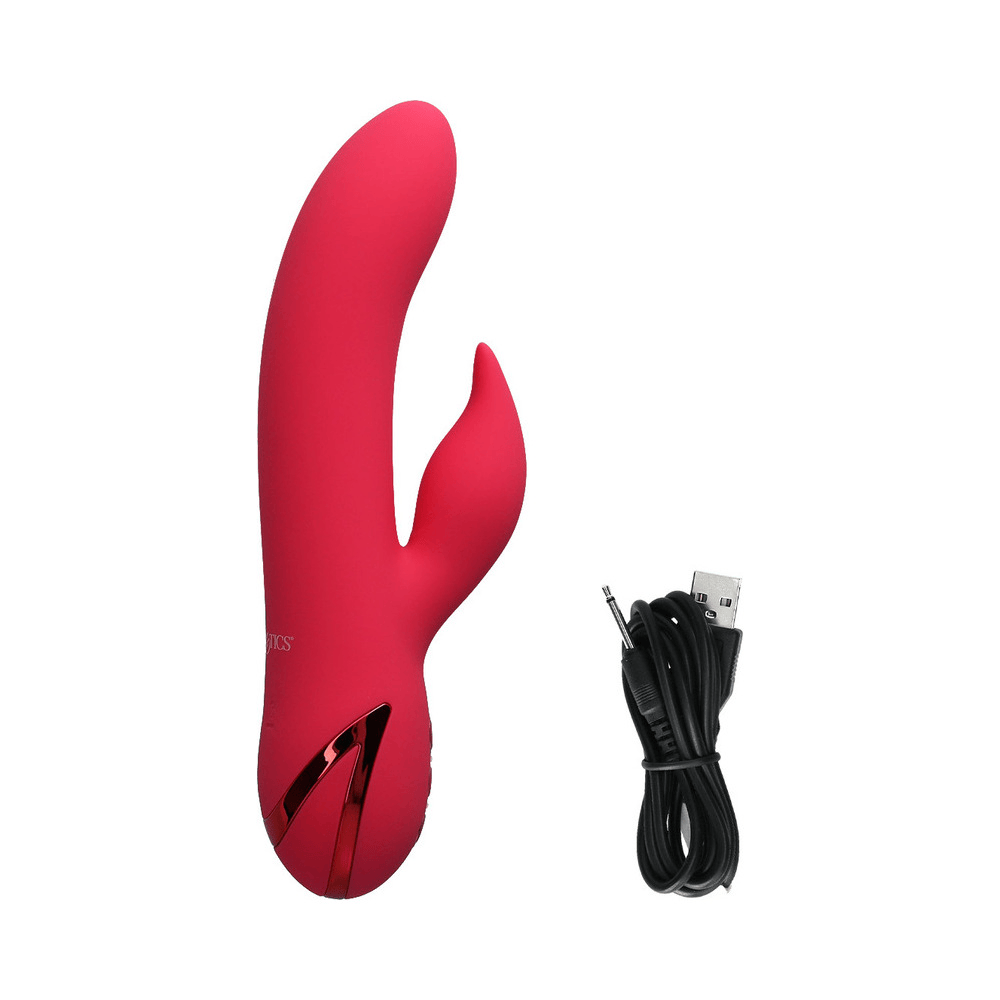 SAN FRANCISCO SWEETHEART RABBIT