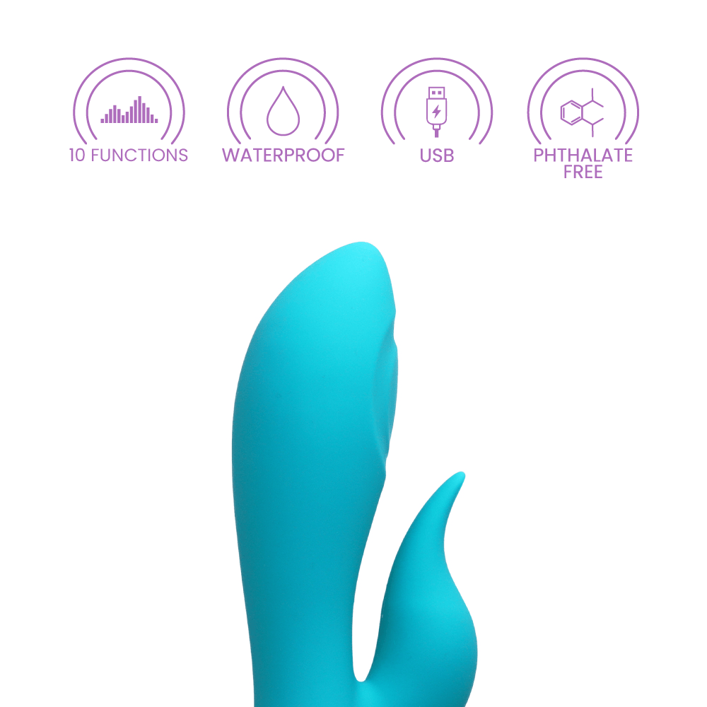 SANTA MONICA STARLET