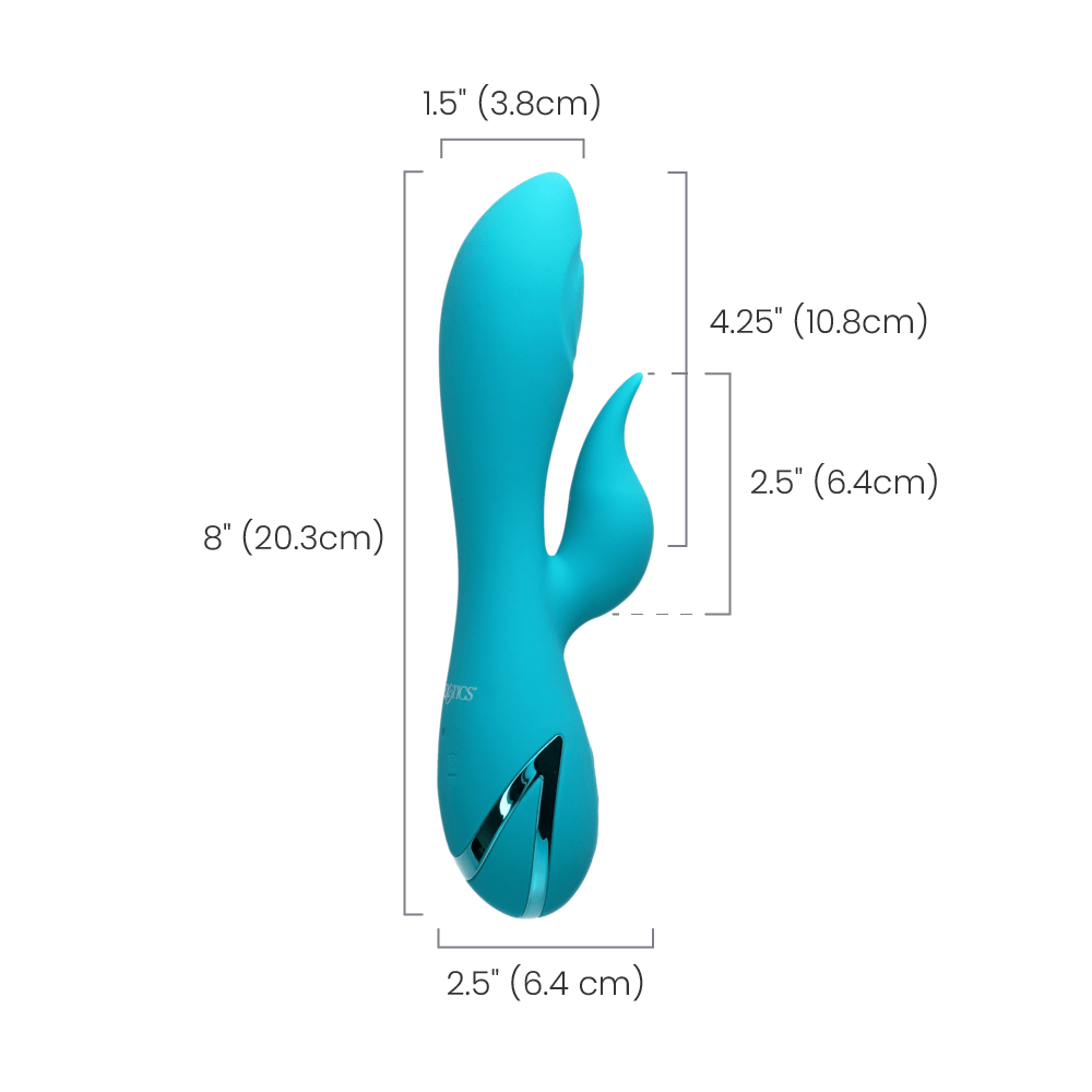 SANTA MONICA STARLET