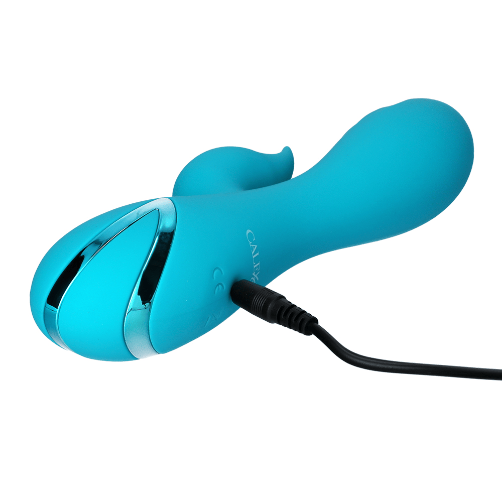 SANTA MONICA STARLET