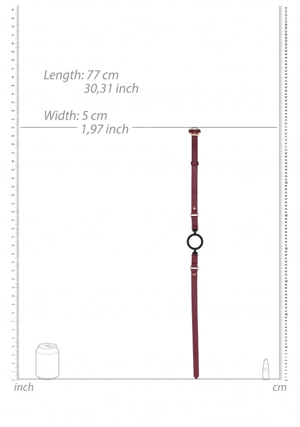 SILICONE RING GAG - BURGUNDY