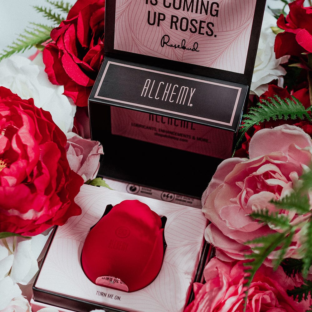 Alchemy Discovery Kit