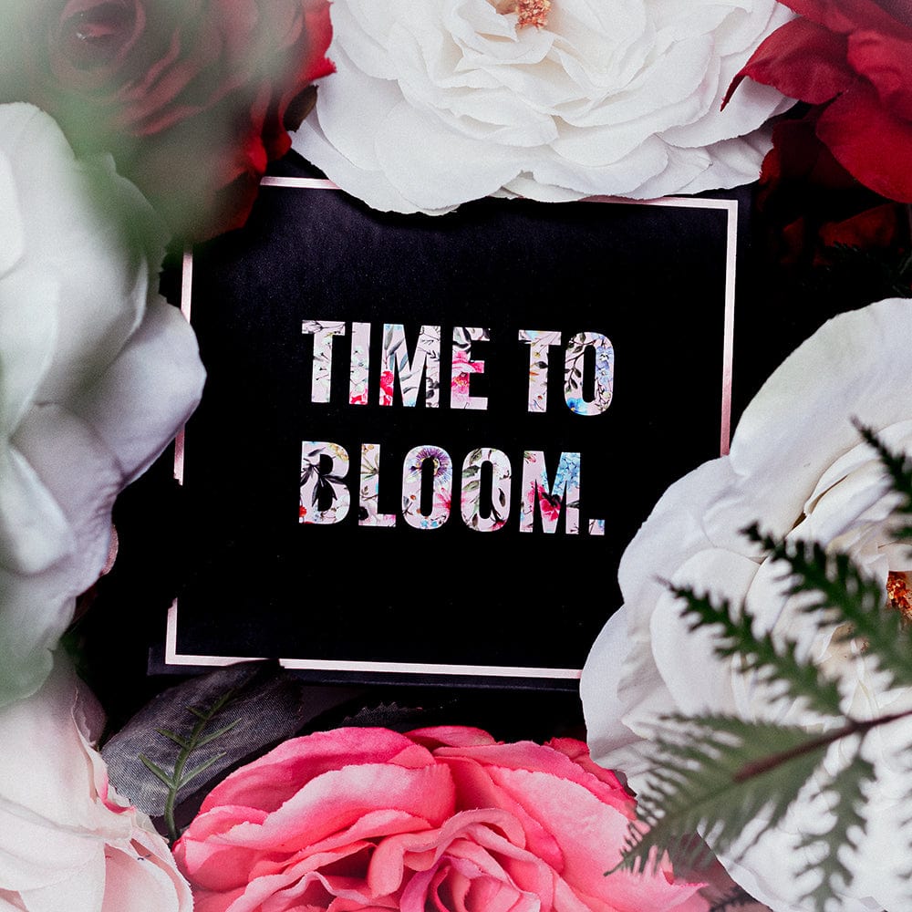 Alchemy Discovery Kit