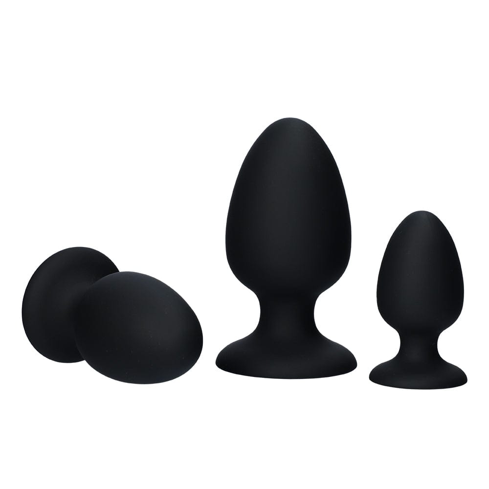 CHEEKY WEIGHTED ANAL TRAINER KIT