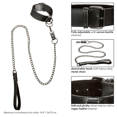 COLLAR WITH CHAIN LEASH