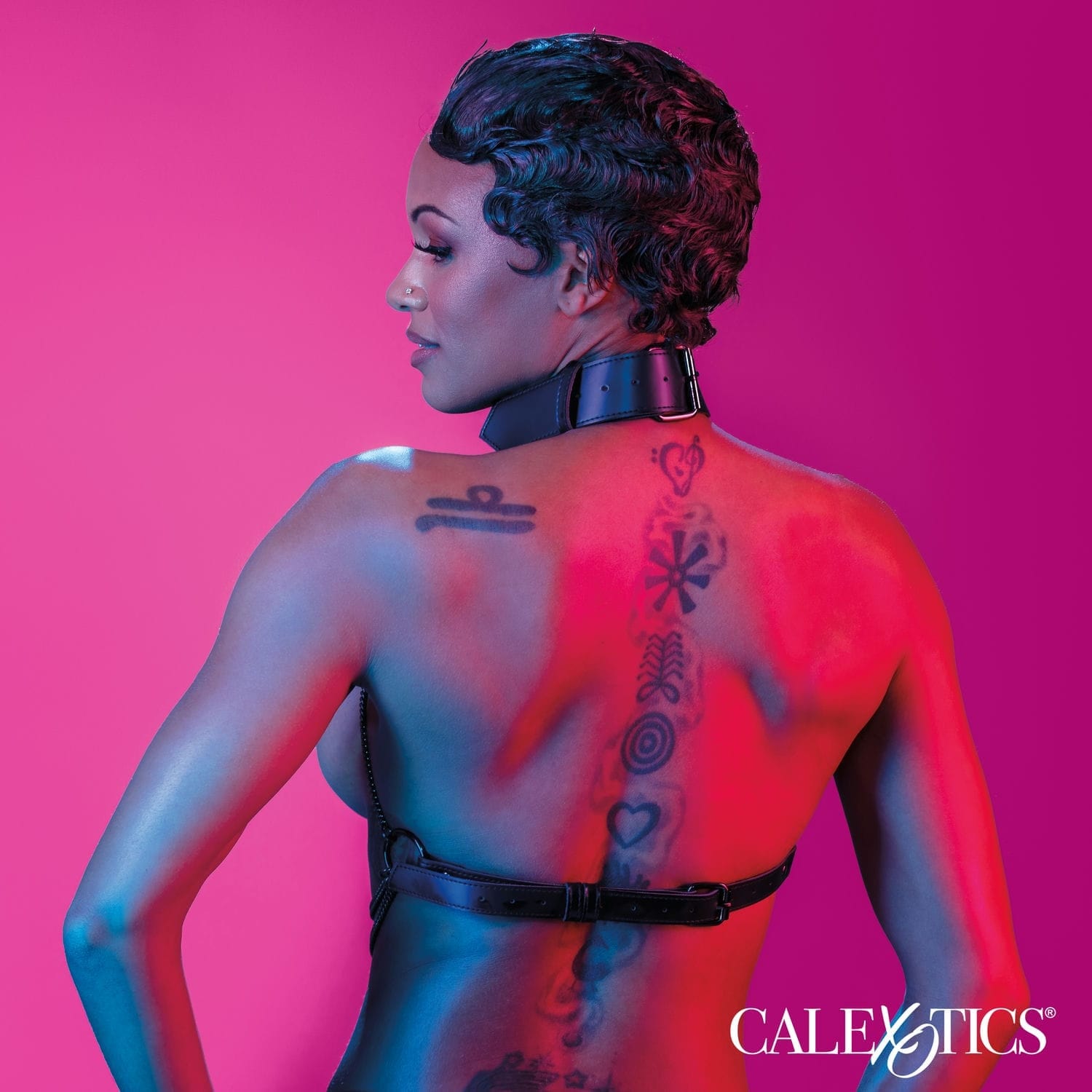 MULTI CHAIN COLLAR HARNESS