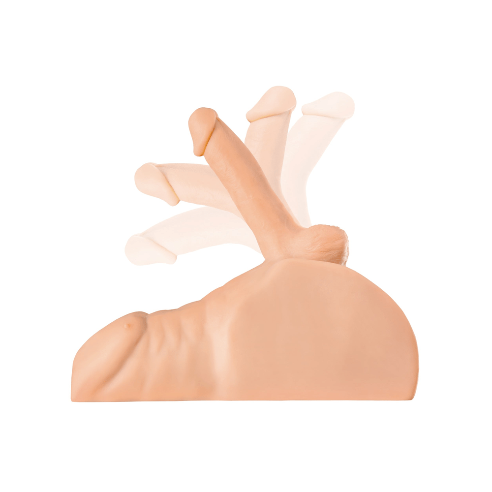 PDX Plus Perfect Ride