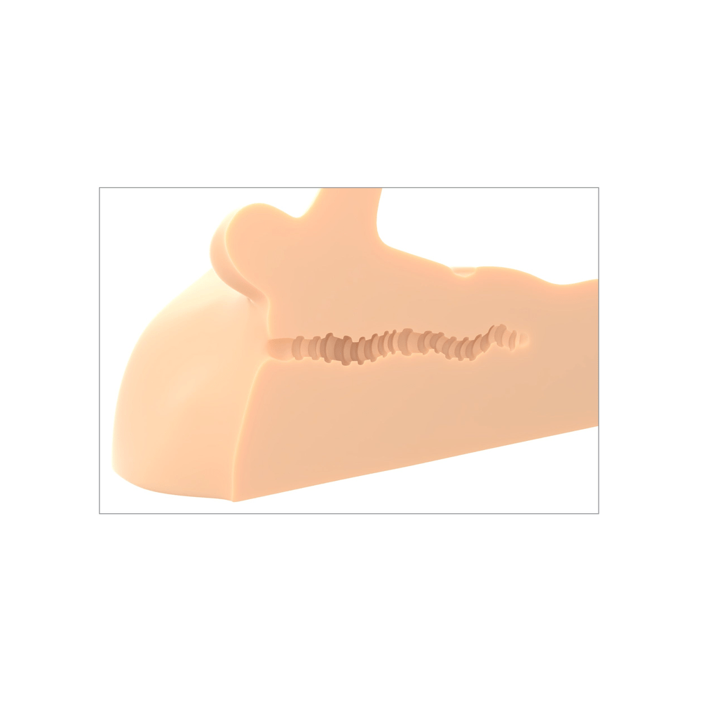 PDX Plus Perfect Ride