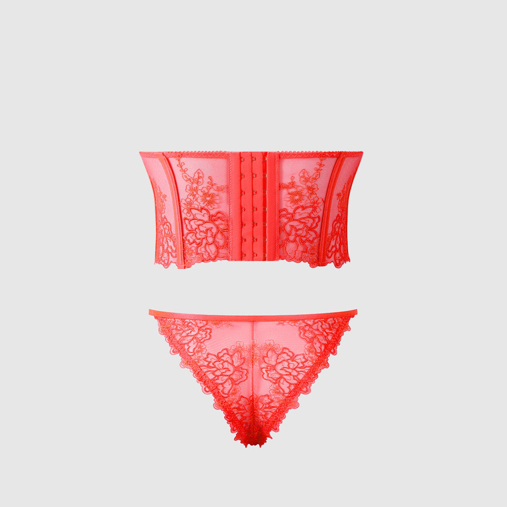 EDEN EMBROIDERED BUSTIER & TANGA SET - S
