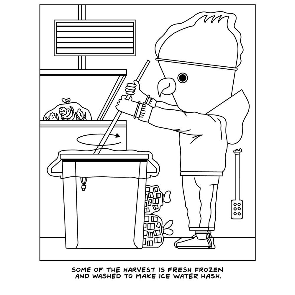 A VISIT TO THE CANNABIS FARM COLORING BOOK