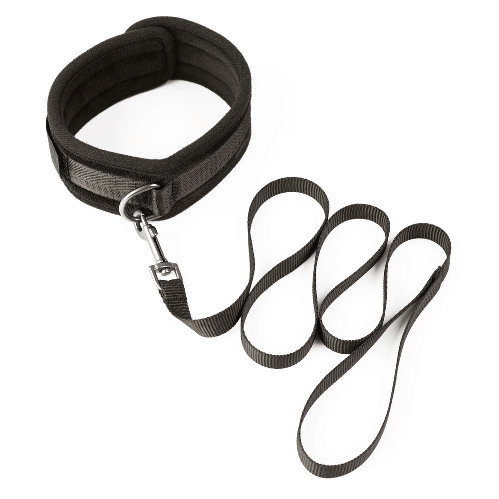 TAKE THE LEAD COLLAR + LEASH