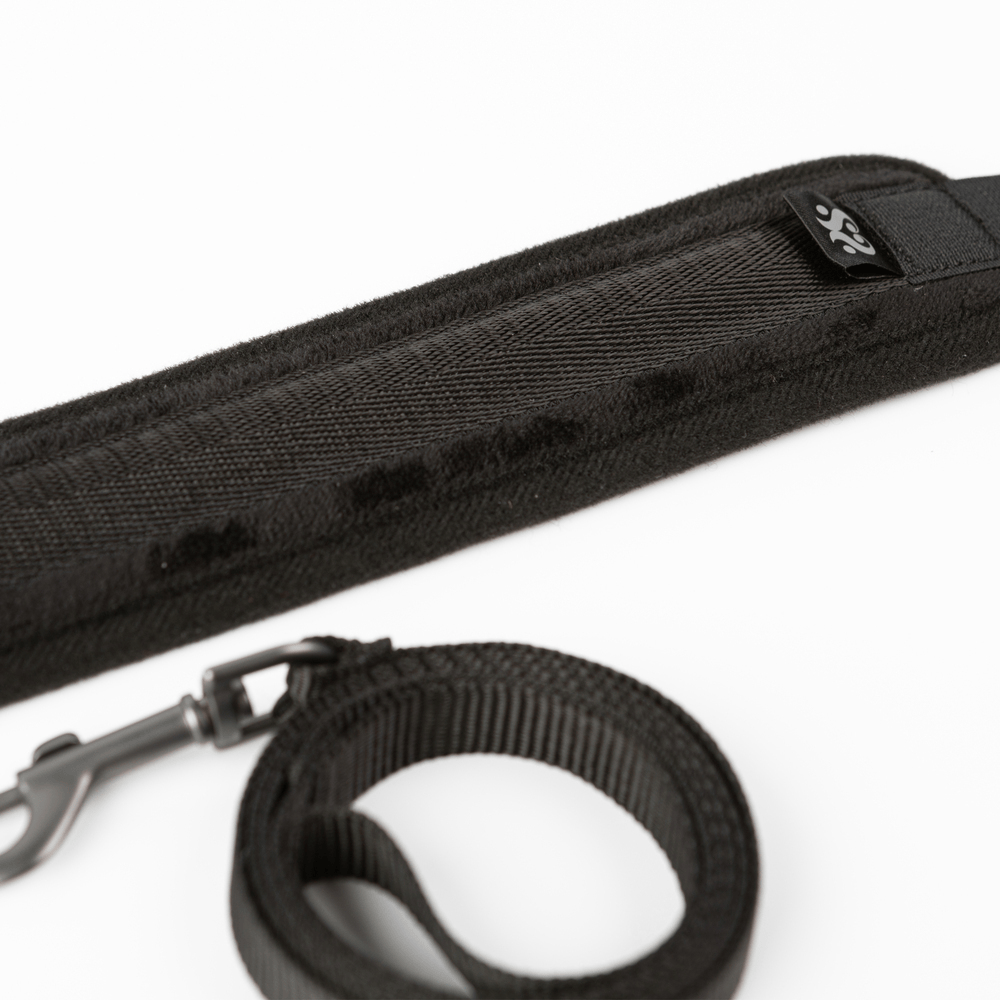 TAKE THE LEAD COLLAR + LEASH
