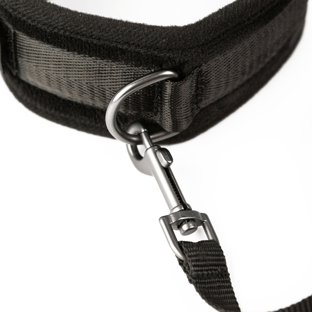 TAKE THE LEAD COLLAR + LEASH