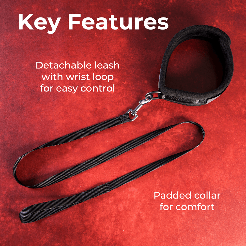 TAKE THE LEAD COLLAR + LEASH