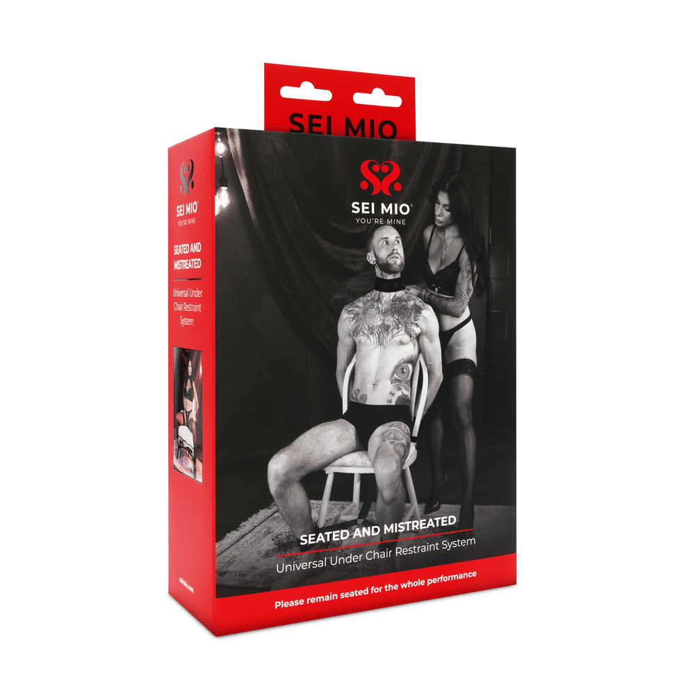 SEATED AND MISTREATED CHAIR RESTRAINT