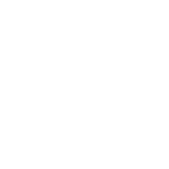 Harnesses