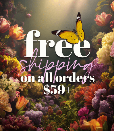 Amazing Intimate Essentials