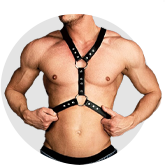 Body Harnesses