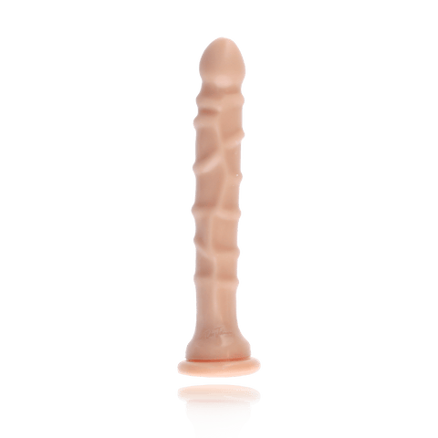 DONG W/SUCTION CUP 8"