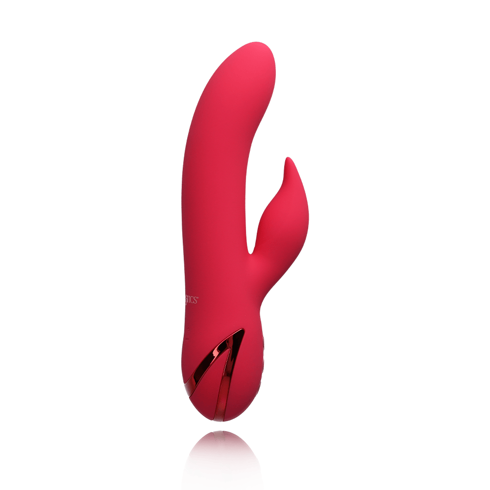 SAN FRANCISCO SWEETHEART RABBIT